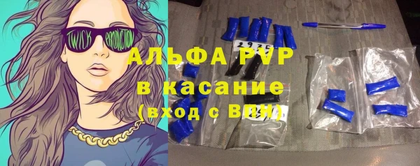 сатива Гатчина
